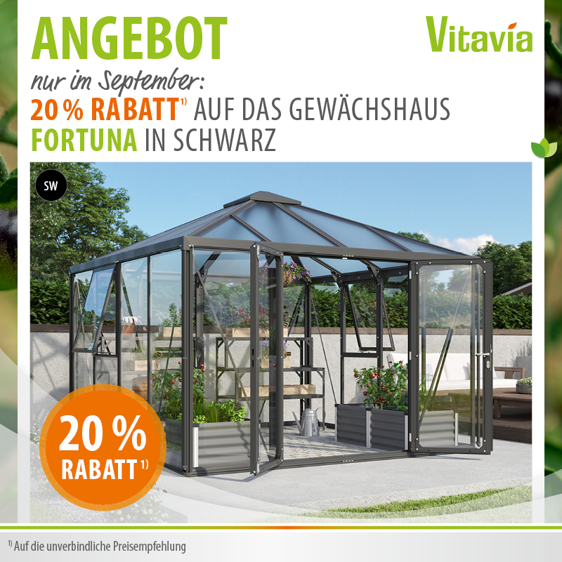 September-Angebot Pavillon-Gewächshaus Fortuna in Schwarz 20% unter UVP