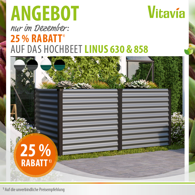 Vitavia Hochbeet Angebot - Linus 25% reduziert im Dezember
