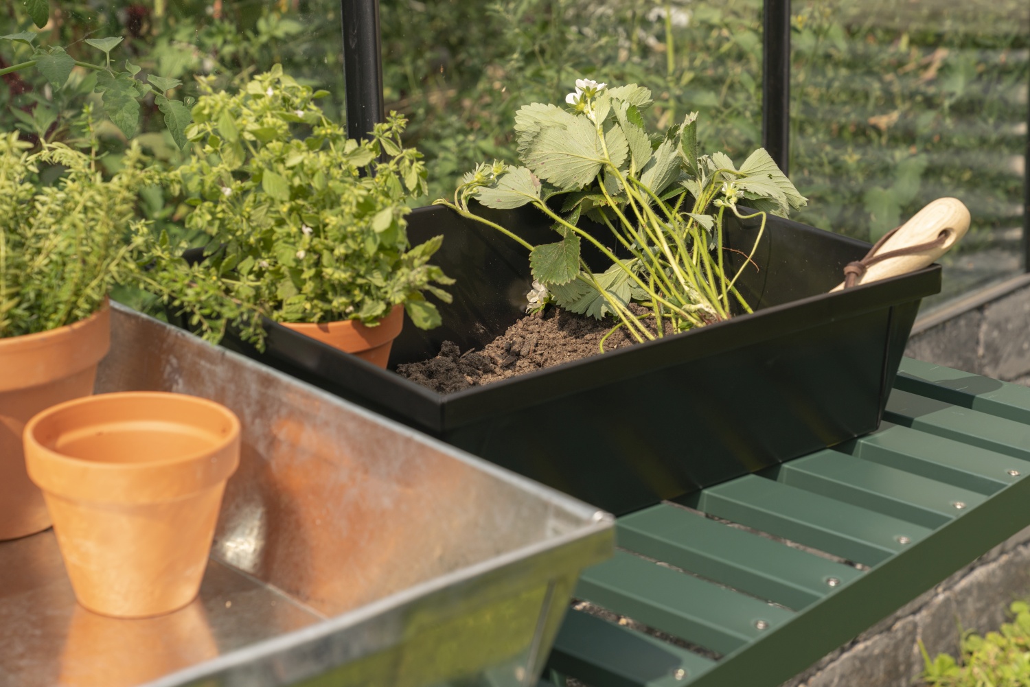 Pflanzschale massiv 38,5x28,5x11,5 cm, Stahl galvanisiert, schwarz pulverbeschichtet