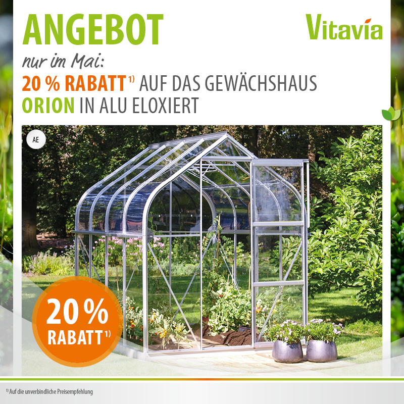 Mai - Spezialangebot