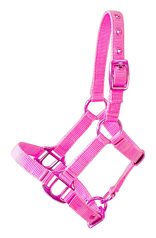 Gartenpferd Halfter, pink