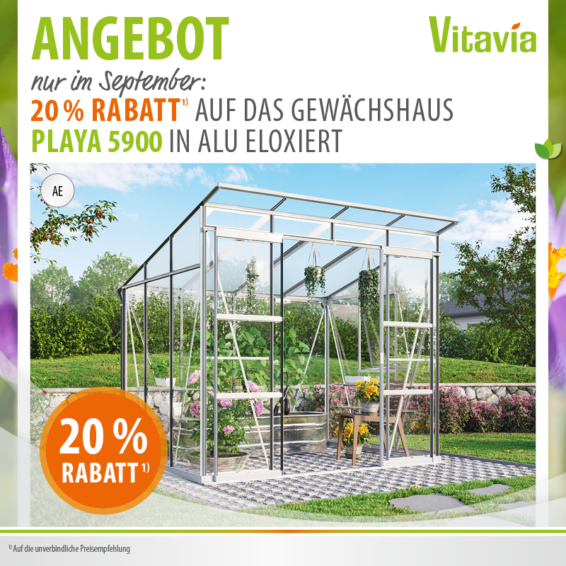 Gewächshaus Angebot Playa 20% reduziert