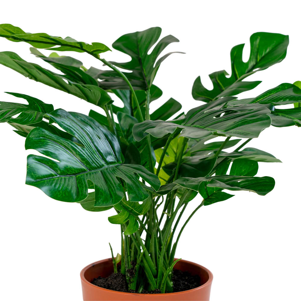 Monstera, Fensterblatt Kunstpflanze 45 cm