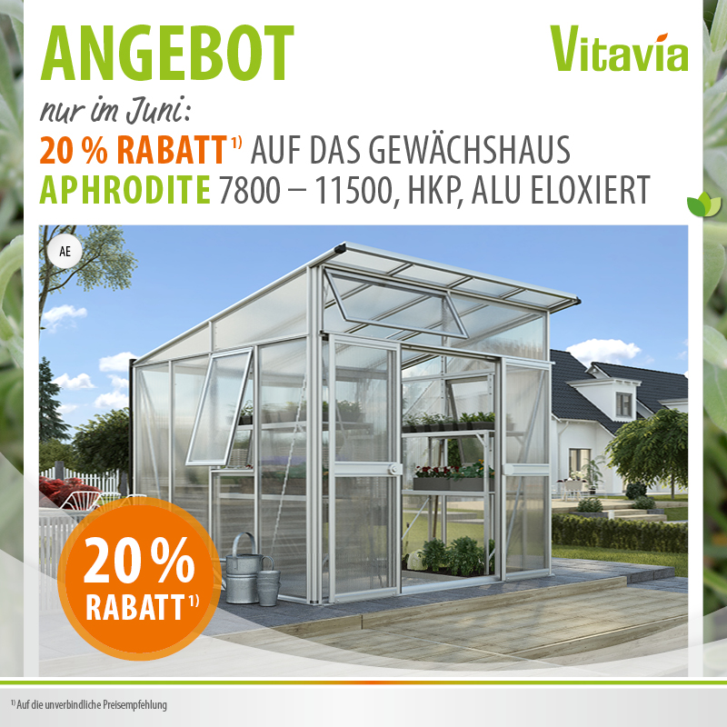 Juni-Aktion Gewächshaus Angebot Vitavia