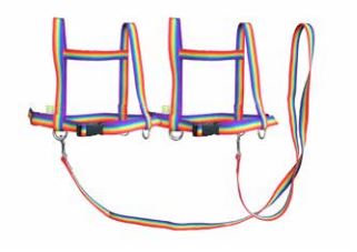 Der Zügelmatz® Pferdespielleine, Regenbogen, Gespann für 3 - 4 Kinder
