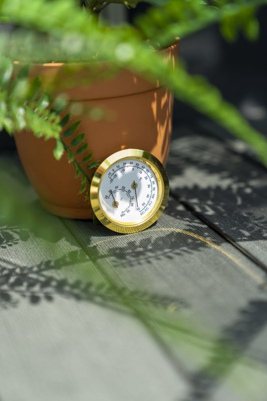 Hygrometer, analog, Klimamesser für Temperatur und Luftfeuchtigkeit