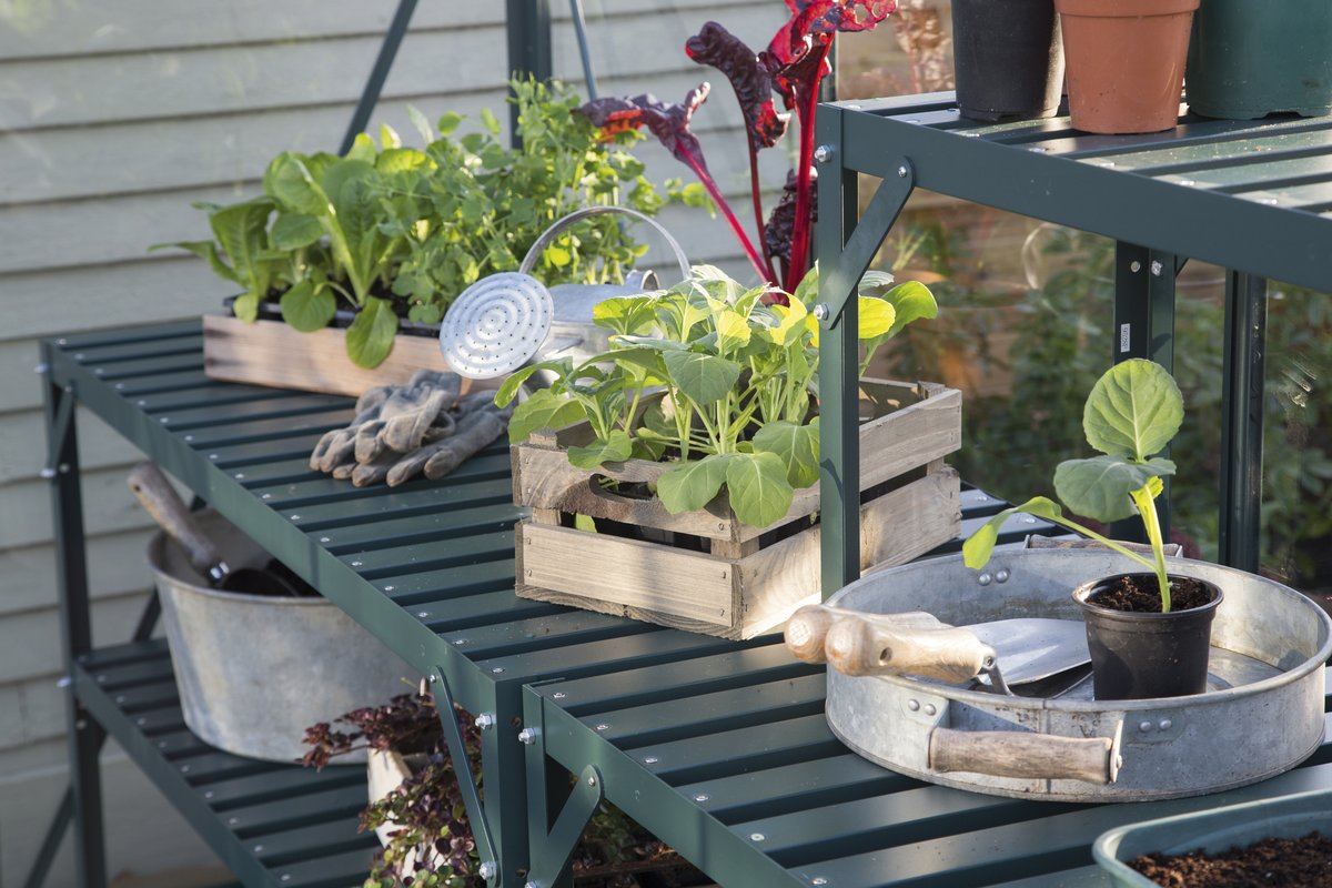 Vitavia Alutisch, 2 Ablagen, 121x54x76cm, smaragd