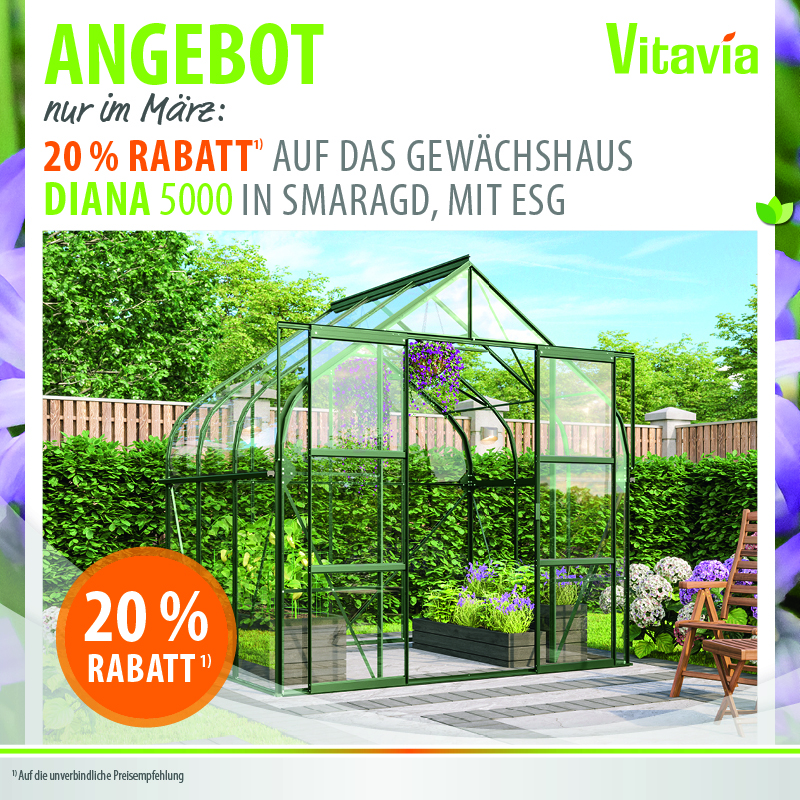 März - Spezialangebot