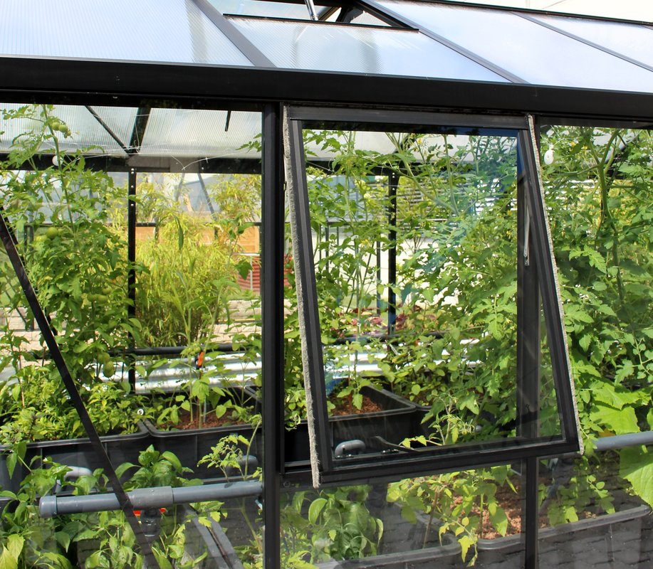 Vitavia Seitenfenster Z mit ESG 3 mm, schwarz