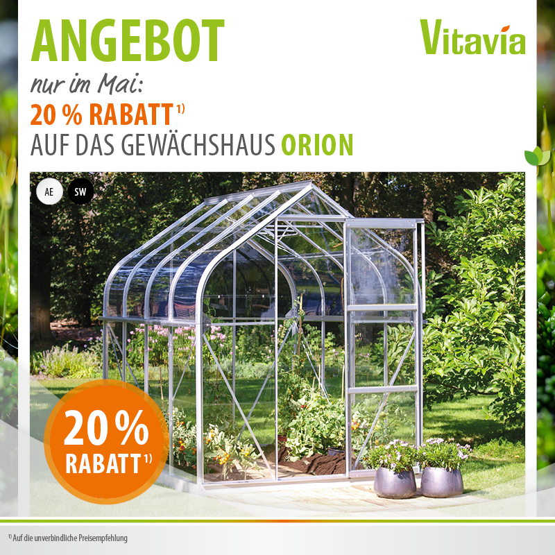 Mai - Spezialangebot