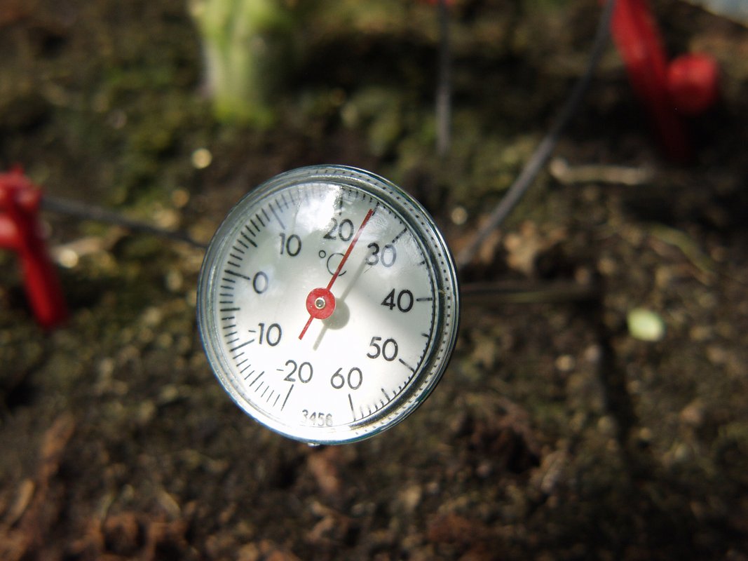 Erdthermometer zur Kontrolle der Bodentemperatur