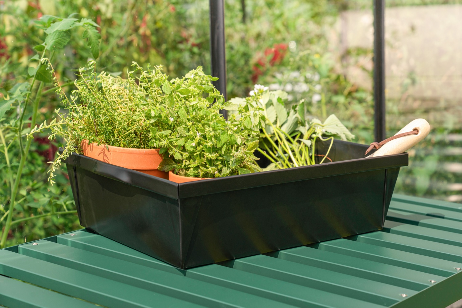 Pflanzschale massiv 38,5x28,5x11,5 cm, Stahl galvanisiert, schwarz pulverbeschichtet