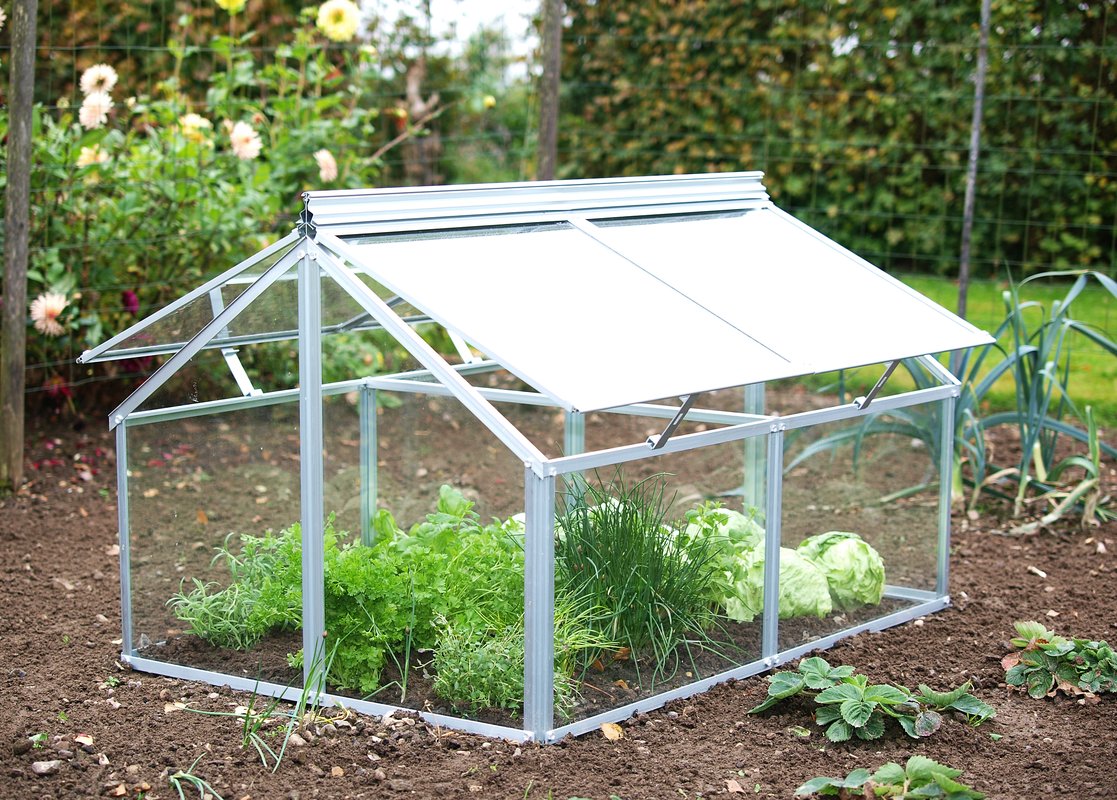 Vitavia Frühbeet Gaia Jumbo mit 4 Dachfenstern