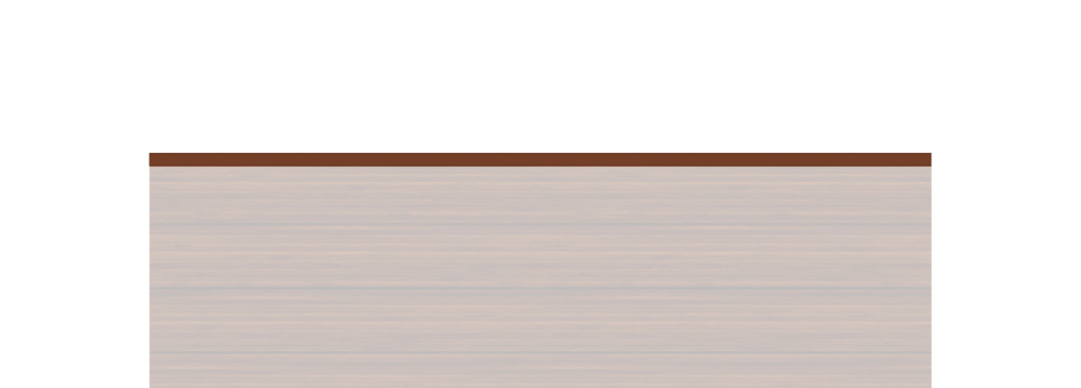 SYSTEM Profil-Abschlussleiste oben, Alu bambus 233 x 2 x 3 cm