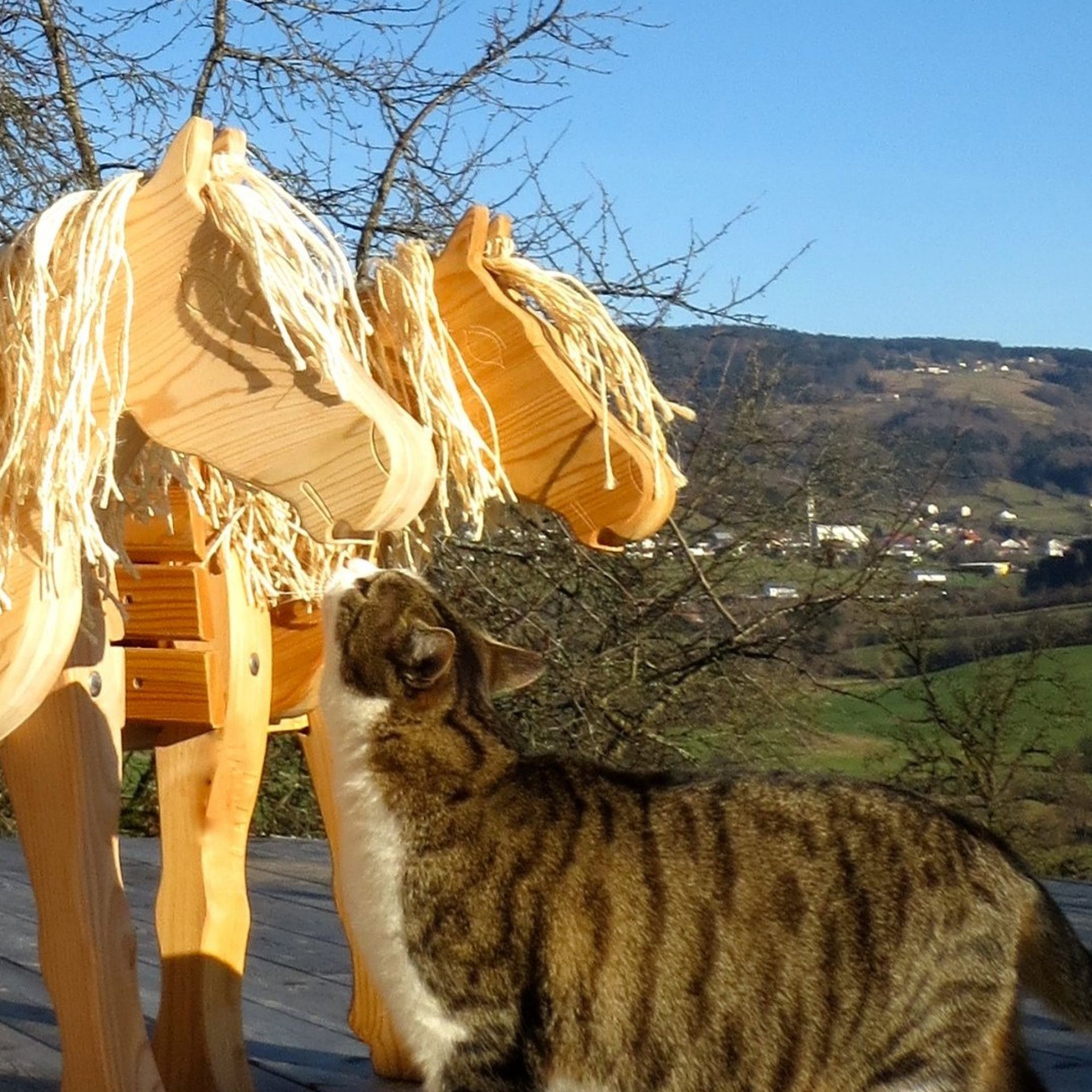 Holzpony "Amber" aus Douglasie, für Kinderzimmer und